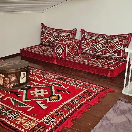 Historical Besiktas Center Apartment Istanbul